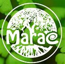 Marae in Den Haag